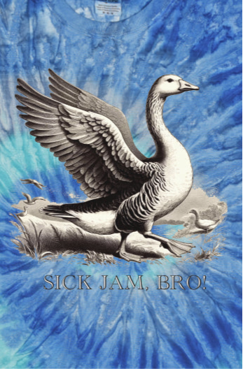 Goose/Sick Jam, Bro! Tie Dye Blue Jerry Adult T Shirt